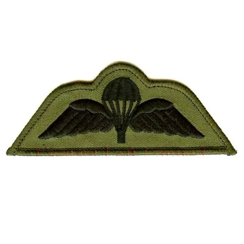 Para WING PATCH